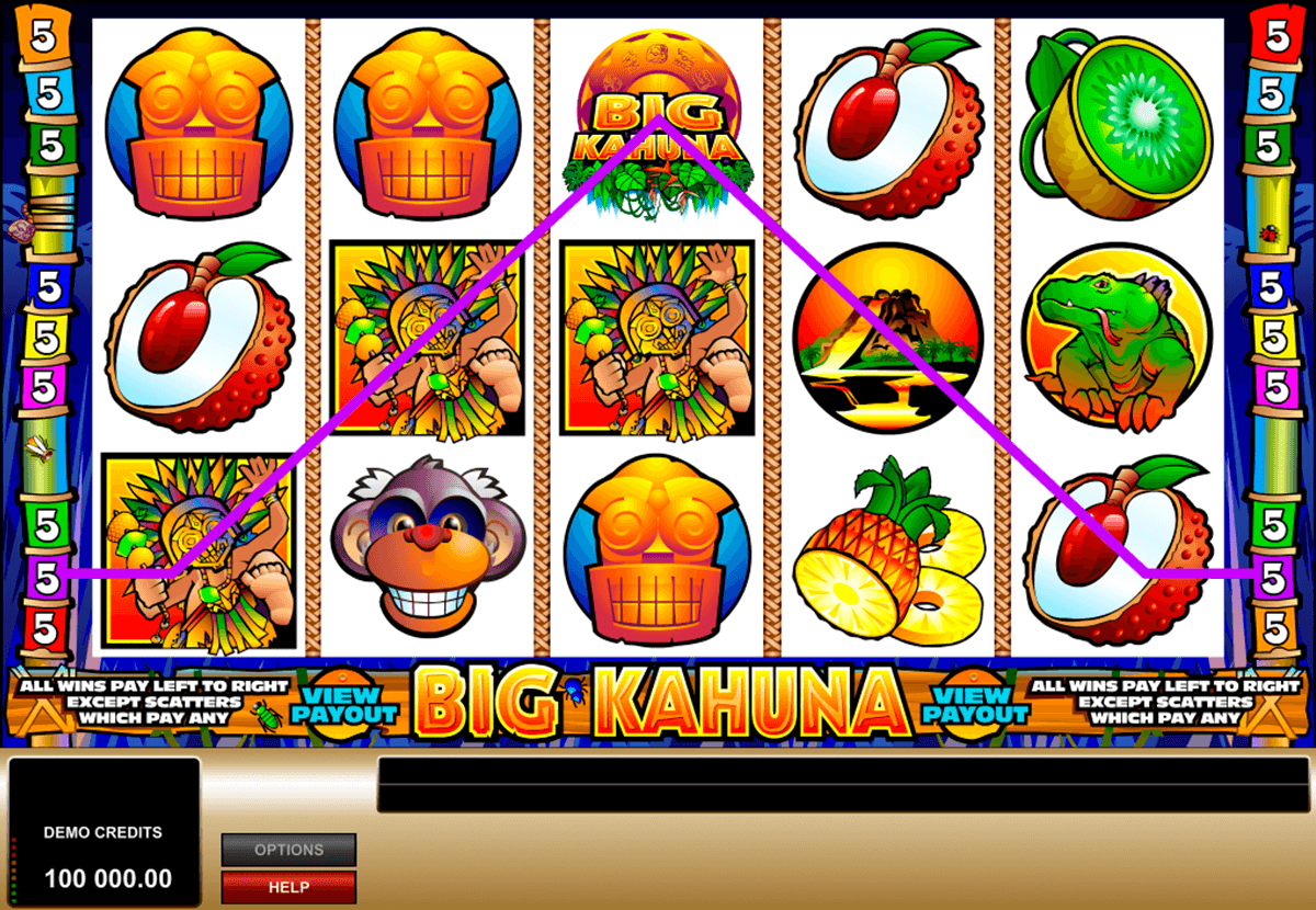 big kahuna microgaming slot machine 