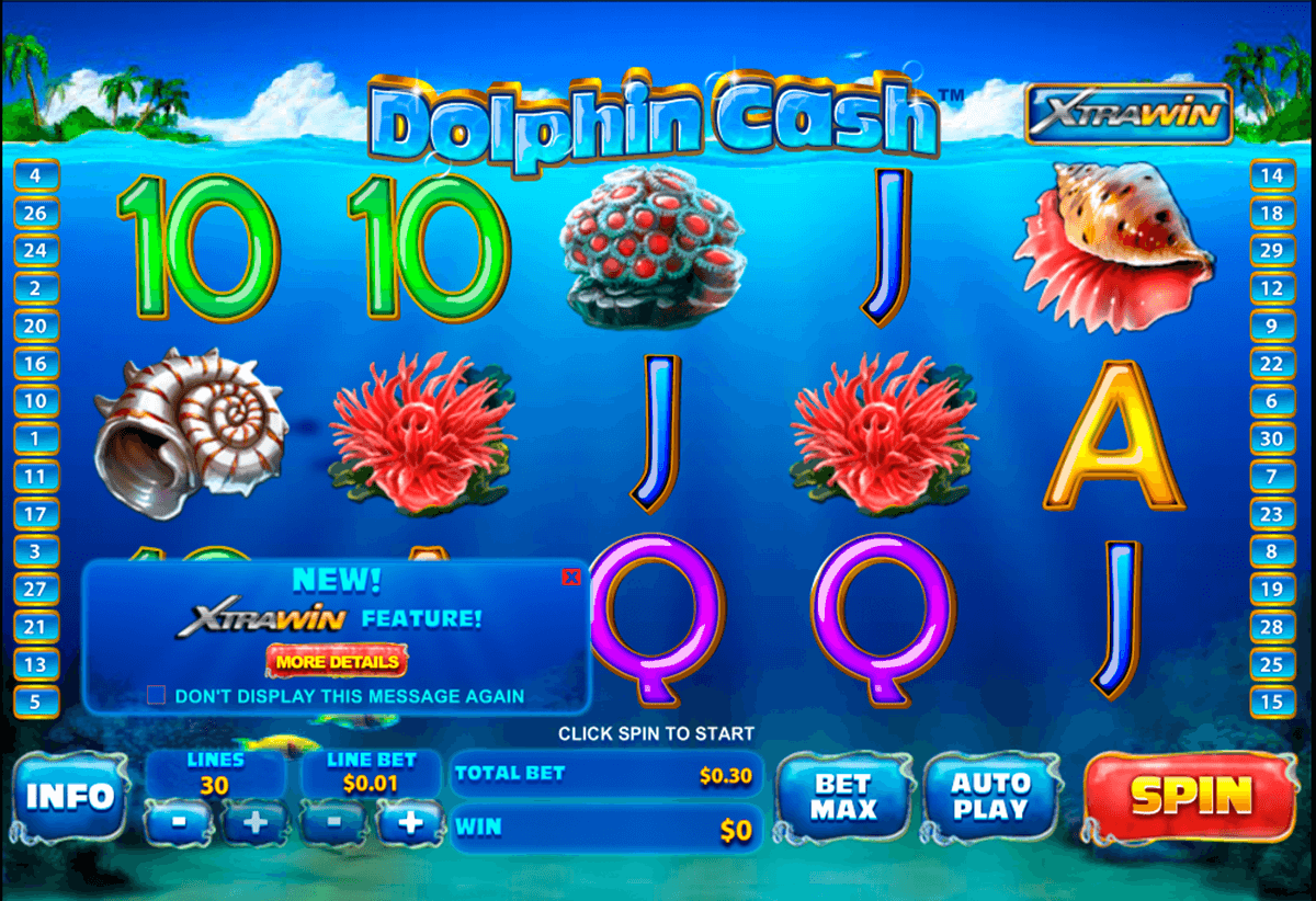 dolphin cash playtech slot machine 