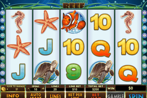 dolphin reef playtech slot machine 
