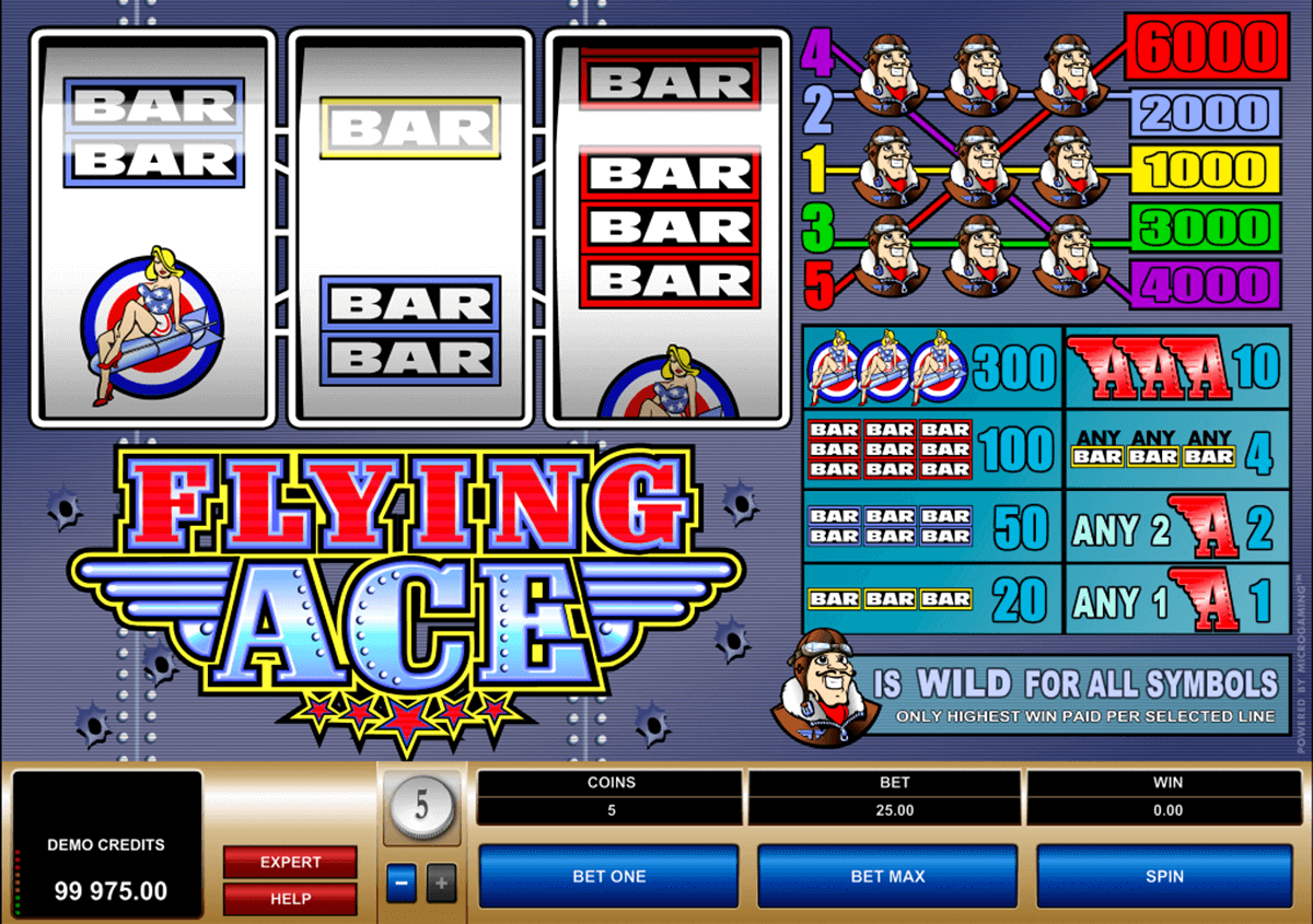 flying ace microgaming slot machine 
