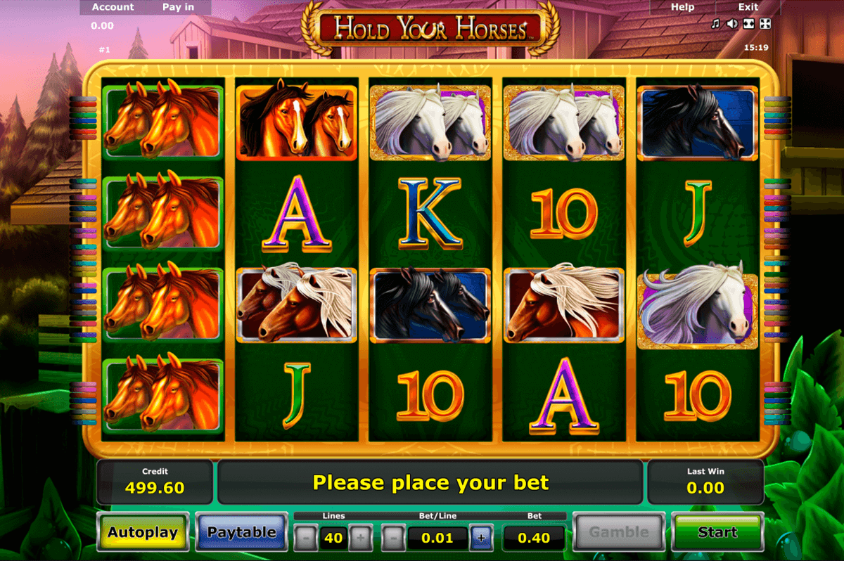 hold your horses novomatic slot machine 