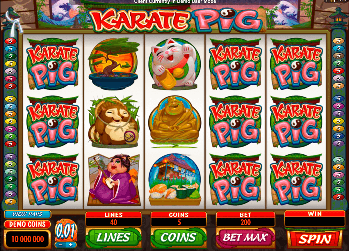 karate pig microgaming slot machine 