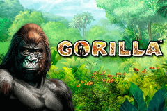 logo gorilla novomatic slot online 