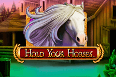 logo hold your horses novomatic slot online 