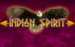 logo indian spirit novomatic slot online 