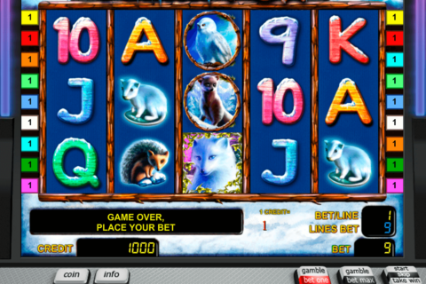polar fox novomatic slot machine 