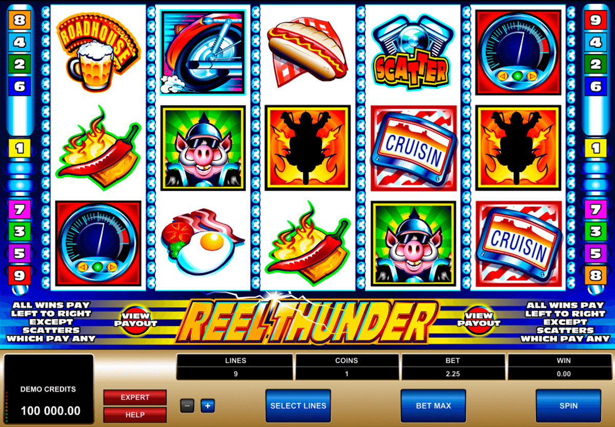 reel thunder microgaming slot machine 