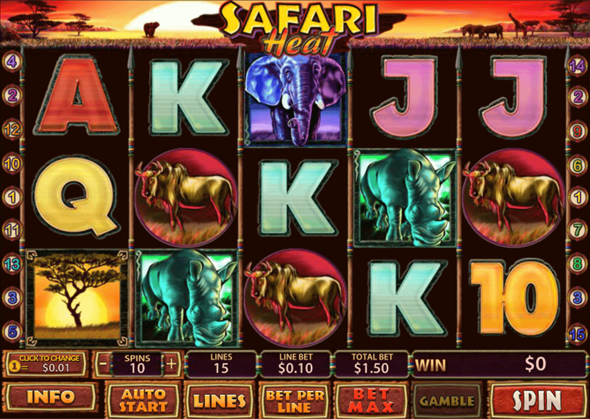 safari heat playtech slot machine 