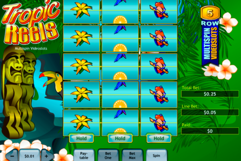 tropic reels playtech slot machine 