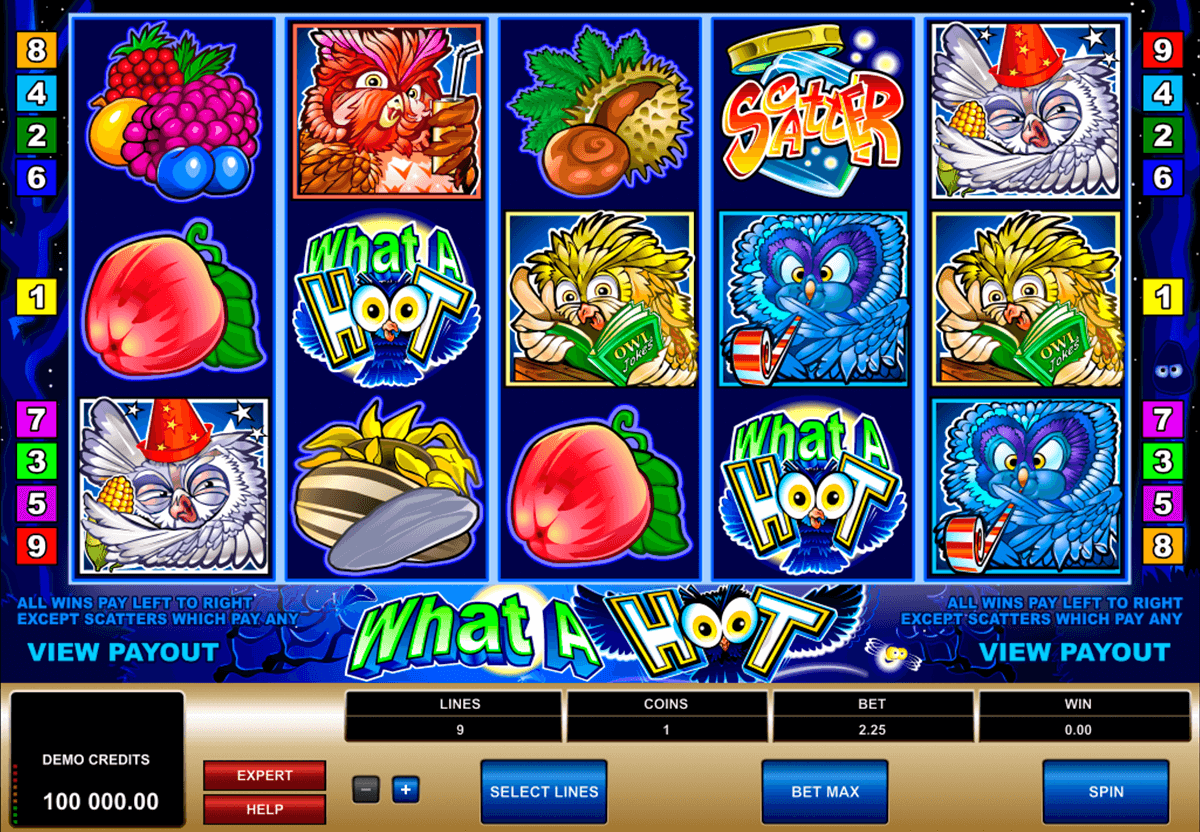 what a hoot microgaming slot machine 