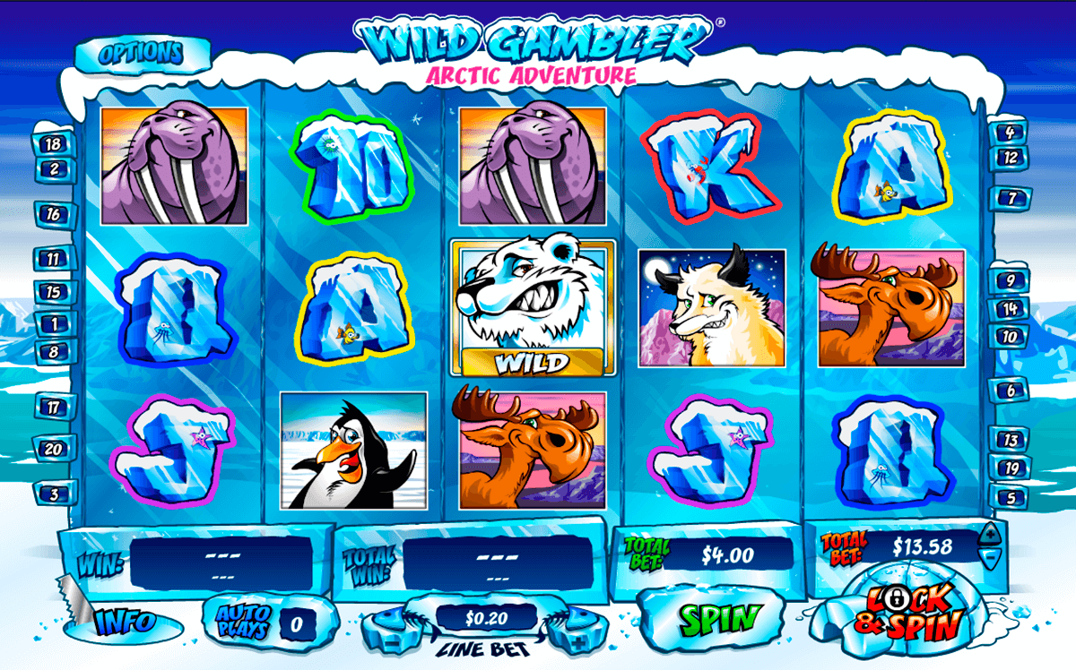 wild gambler arctic adventure playtech slot machine 