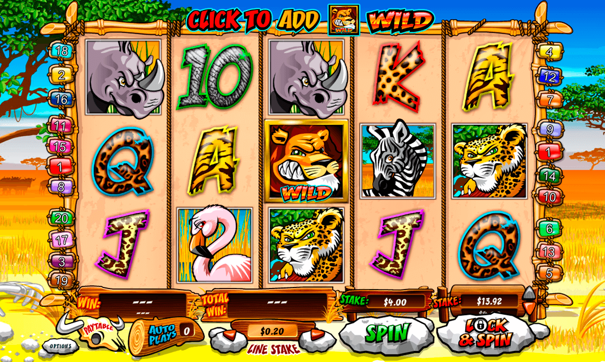 wild gambler playtech slot machine 